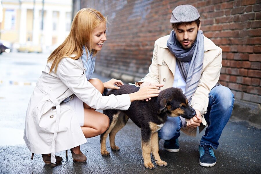 Erstes Date - Geht mit einem Hund spazieren